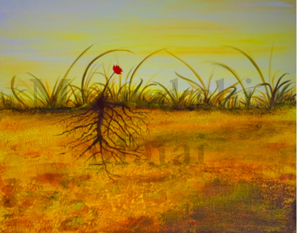 Roots